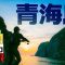 春本番！池内プロ初場所でアオリイカ攻略！！in山口県 │ 池内修次エギングプロスタッフ(1560)
