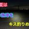 暑い夏は夜の漁港をキス釣りめぐり 知多半島