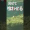 夏だ！祭だ！釣りだ！エリアトラウト好き集まれ〜
