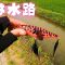 夏の水路にロマンを求めて挑む！[バス釣り] [五三川バス釣り] [トップウォーターバス釣り]