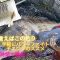 【チニング】夏の広島と言えばこの釣り！短時間で爆釣！！？