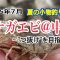 2025年7月  【夏の小物釣り・テナガエビ@中川】