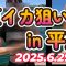 夏イカ狙い！#釣り #fishing #squidgame #エギング #長崎 #平戸