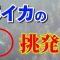 【釣り】春頃の動画になります。UPするの忘れてました笑　総じて今年は春イカ難しかったです。　　#エギング  #天草釣り #熊本釣り  #fishing