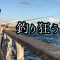 釣りOLの、釣り狂う夏。