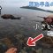 テトラからの磯で穴釣り【夏泊半島】