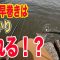 【下手釣り８】夏シーバスをバイブ早巻きで狙ったが・・・