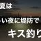 暑い夏は涼しい夜に堤防でキス釣り 知多半島