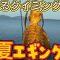 【夏エギング】皆は知らないが実は狙いめ！？数釣りするなら今が熱い！！