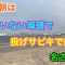 夏の朝は誰もいない埠頭で投げサビキ釣り 名古屋港
