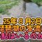【小鮎釣り】25年8月2日 夏真っ盛りの日に琵琶湖の支流に小鮎はいるのか？