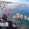【石鯛釣り】衝撃の釣果！磯の王者に挑む夏in桜島