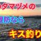 夏の夕マヅメの堤防ならキス釣り 知多半島