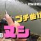 【琵琶湖バス釣り】連日猛暑日で暑すぎる夏の朝！デカい魚を狙って水路釣行！コイケ13mmでついにチャンネル史上最大魚が姿を現す！！！