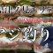 【大分県津久見エリア】夏夜釣り　防波堤から　メインターゲットはアジ