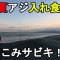 【神奈川県某所】遠投ぶっこみサビキで夏のアジが入れ食い！？真夏の時期に、関東地方の相模湾側に面している砂浜（サーフ）の釣り場で、夜釣りをしてみたら…！【2025年8月中旬】