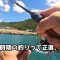 夏におすすめの釣りはコレだ！初心者でも楽しめる暑い時期の釣り。