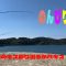 夏が旬の魚を釣りに行った！パート1！！！