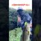 🔥夏の🐸カエルゲーム🔥#長崎県バス釣り#ブラックバス#バス釣り#JACKALL#カエラ