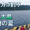 【伊豆大島の夏】両軸遠投カゴ釣りで夏は青物【岡田港】夏の昼間の釣りは曇りが最高【＃Shorts】Japan’s Fishing Videos.