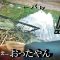 【バス釣り】おったんならこっちも意地張る‼　～夏の思い出(前編)～