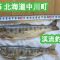 ’25夏 北海道中川町での年1回渓流釣り