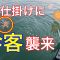 【猛暑を乗り切れ】夏のキス釣りに珍客登場
