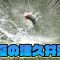 オカリン釣りチャンネル第２回！夏の津久井湖攻略！大減水でビッグフィッシュ炸裂！？
