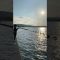 【チニング】テトラの間をソロリ、ソロリ🎣 #釣り #石川県 #北陸 #夕方 #夏 #チヌ #黒鯛 #釣りガール #チニング #能登半島 #fishing #shimano #keitech
