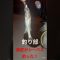 顔出しNGの師匠の本格的釣りを傍観の巻🎣　#釣り #釣りよか #釣り部 #釣りyoutube #釣り竿 #魚 #魚釣り #夏 #夏の思い出 #夜釣り #スズキ #シーバス #師匠#師匠シリーズ