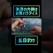 漁港の内側はお魚バラダイス！夏の五目釣り #short #切り抜き #釣り好きな人と繋がりたい