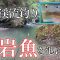 【渓流の尺岩魚】夏の渓流でイワナを釣って庭の池に放流したい！