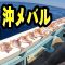 《京都・裕凪丸》【爆釣】浦島沖メバル！夏の脂ノリ最高の干物を作ってみた2025 8 31