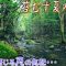 雨上がりの夏の渓流釣り、そこは時が止まったように苔むしたイワナ舞う山岳渓流でした。【渓流 ルアー】