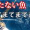 鰹とヌルヌルスティック⁉︎夏の待てない釣りにようこそ！