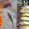 夏の宵は金アジ釣って美味しい晩酌【秘匿性の高いサビキ釣り】
