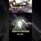 【太刀魚】怪魚!キビレ天竺太刀魚の釣り方パート4#Shorts #タチウオ #釣り #太刀魚 #夏タチウオ#ショアドラゴン#ワインド#天竺太刀魚