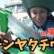 【テンヤタチウオ】夏でも狙える東京湾のタチウオ！テンヤのポイントを徹底解説【田村亮の釣りまか！245】