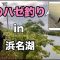 【ハゼ釣り】夏の浜名湖でハゼ釣り