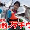 【タチウオ】天秤でドラゴン爆釣タチウオ釣り【東京湾】