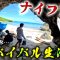 ナイフ1本でサバイバル生活してみたin2025夏