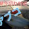 秋の青物釣り