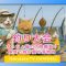 釣り大会🐟太っちょ猫の大物勝負！｜家族で挑む夏の海物語｜猫田家TV