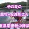 その夏の黒ちゃん渡船