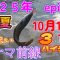 10月14日12日のナマズ釣り🎣豪雨後連発🙋‍♂️まだ暑く夏💥3バイチュー😁