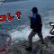 【熱海 アラレ】夏終盤　熱海の沖磯で色々狙ってみた