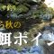 渓流エサ釣り 投餌ポイント (夏から秋)
