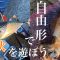 【堤防釣り】秋の海を自由形で楽しむ 高知県(東部)