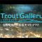釣りビジョン『トラウトギャラリー 』ダイジェスト映像　長野県木曽川水系ヤマトイワナ　出演者：ゲリー小島　【渓流】【渓流釣り】【渓流ルアー】