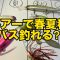 7ルアーで春夏秋冬バス釣れる⁈
